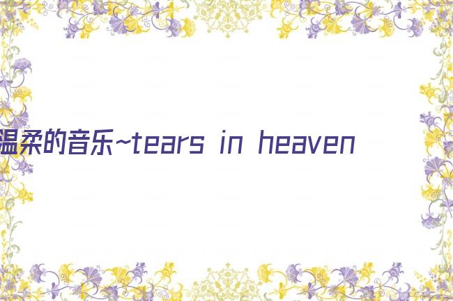 温柔的音乐～tears in heaven 致天国的你剧照